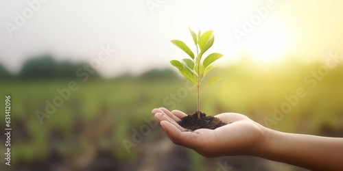 Tableau sur toile World environment day concept: Human hand holding small tree over blurred agricu