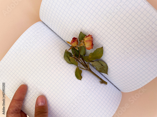 A dried twig of an orange rose with a short stem and green leaves lies on a fold of sheets in a square of an open notebook in a woman's hand on a beige background, close-up, top view. Withered flower.