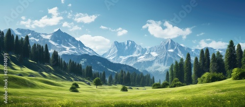 A stunning alpine landscape in Austria during the summer season, featuring lush grass and pine