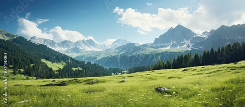 A stunning summer alpine scenery with lush grass and pine trees in the front, and a forest and © HN Works