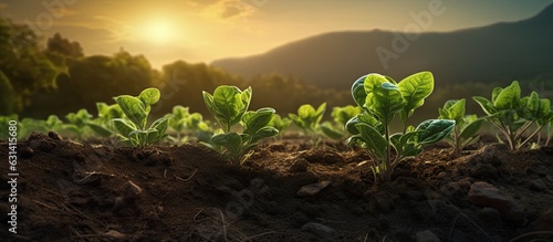 Agriculture: Cultivating plants with available space, promoting plant growth and starting anew,