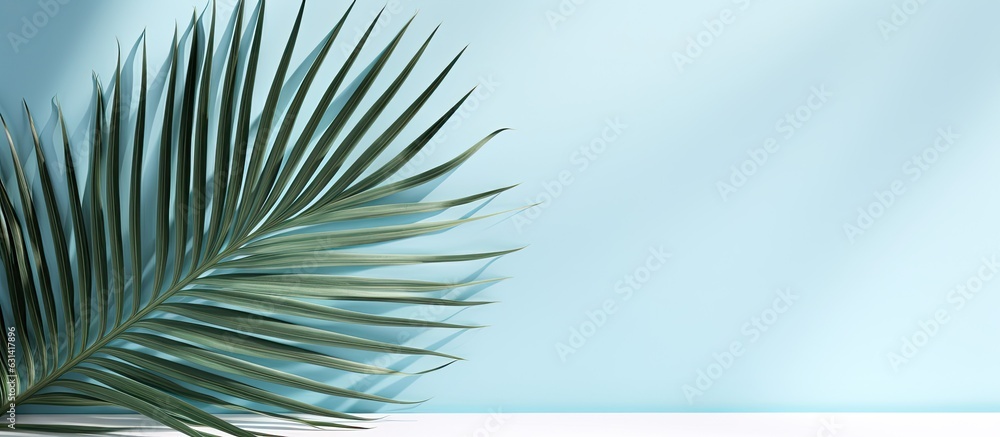 Fototapeta premium Minimal abstract background for product presentation, featuring a blurred shadow from palm leaves
