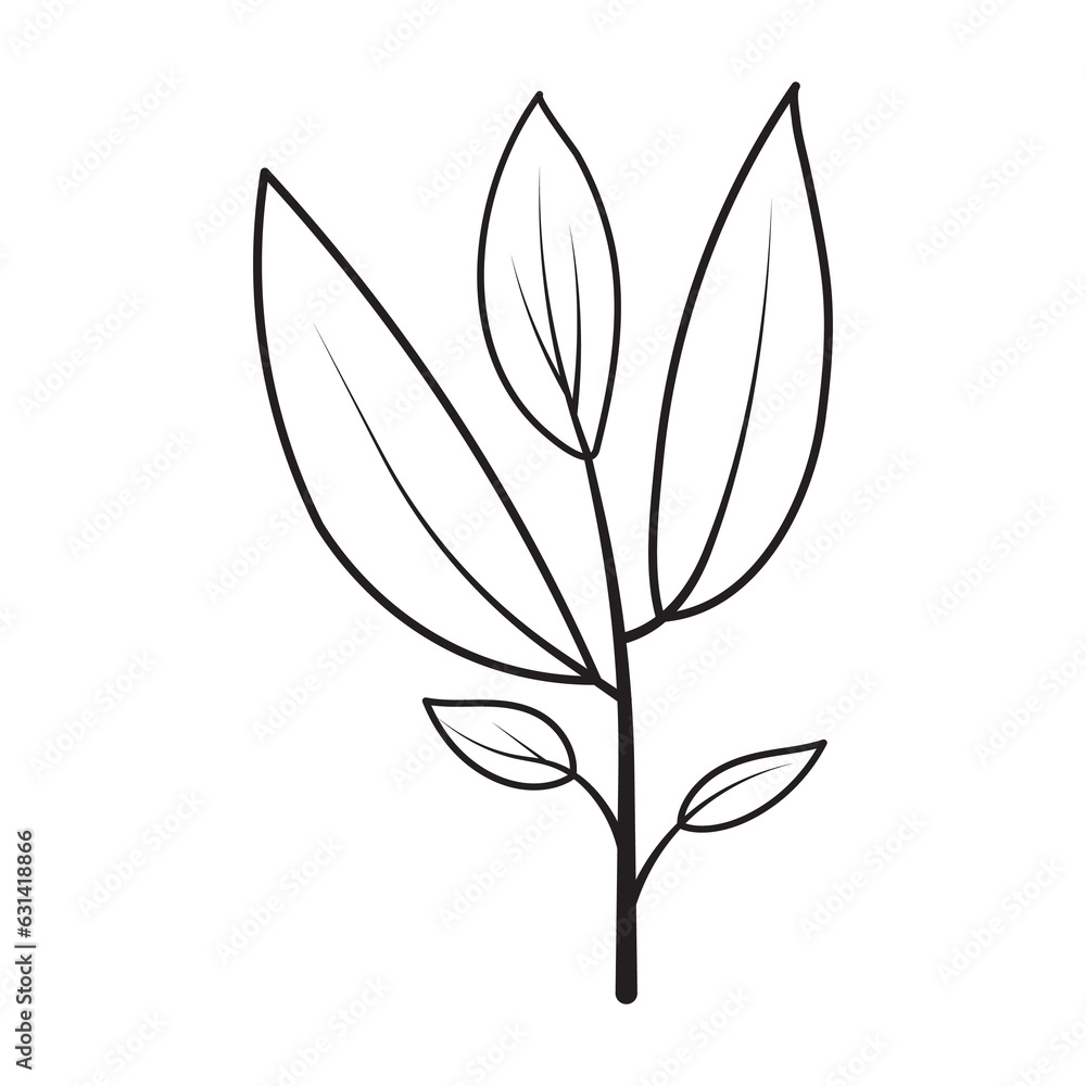Eucalyptu Flower Graphic Sketch Drawing Outline Style Eucalyptu Flower Graphic Sketch Drawing Outline Style