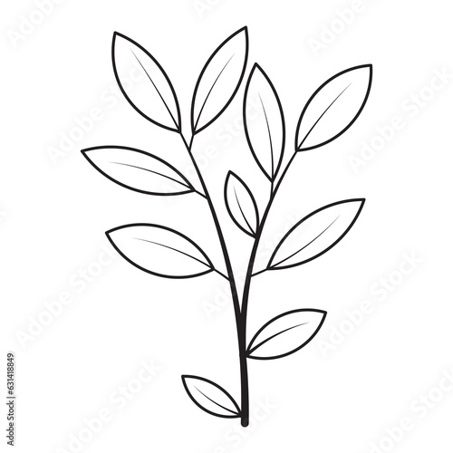 Bay Leaf Flower Graphic Sketch Drawing Outline Style © digitcase