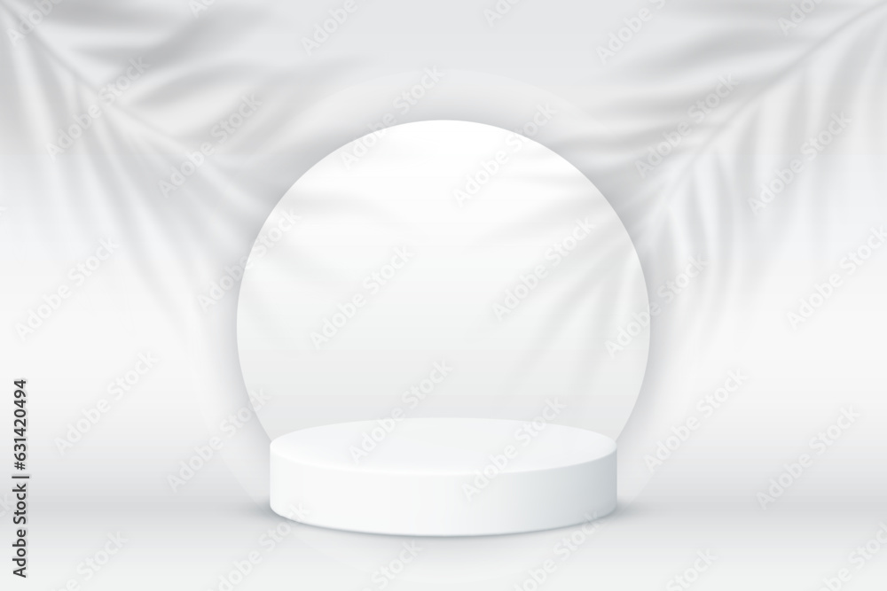 product display podium on white background with leaves shadow on the ...