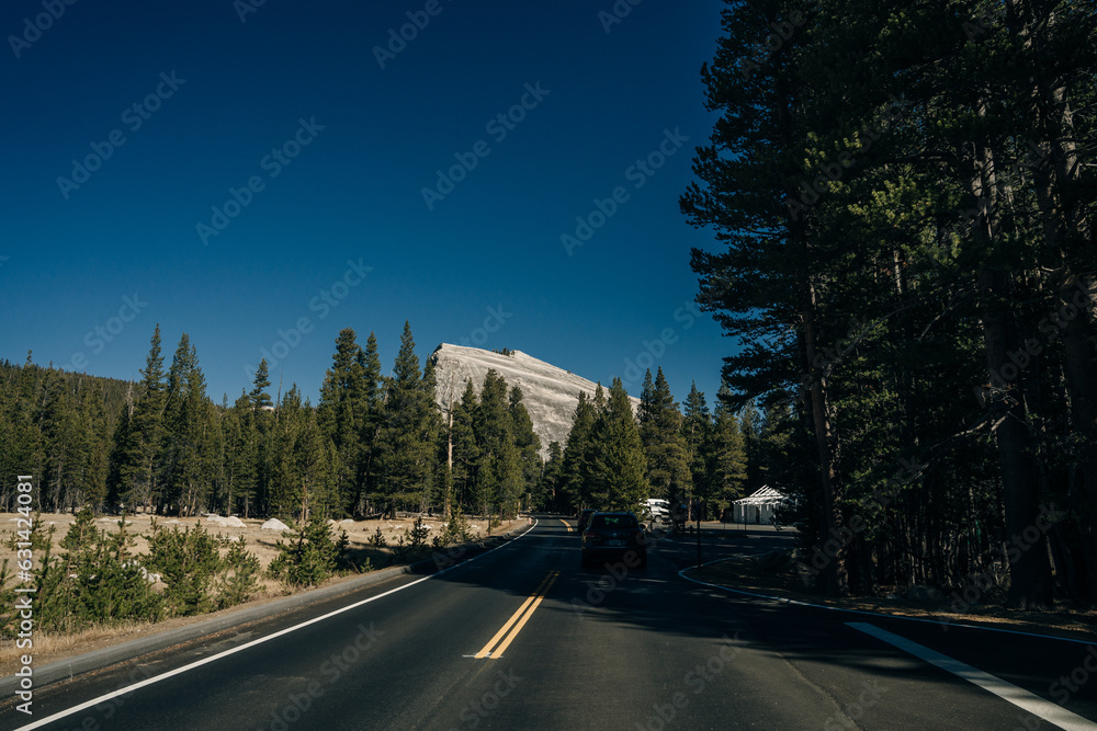 Yosemite Valley Road a Sunny Day, Yosemite National Park, California