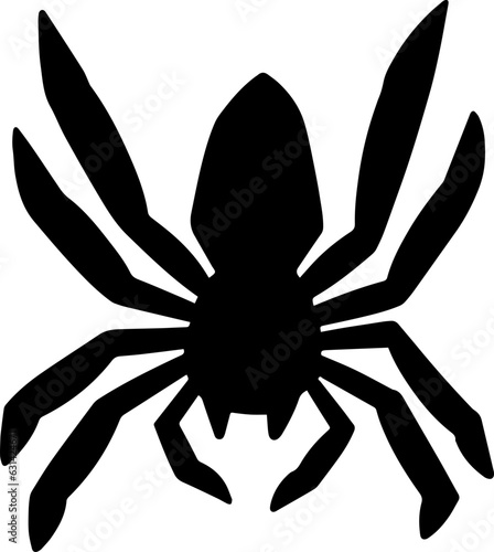 hand drawn illustration of spider.