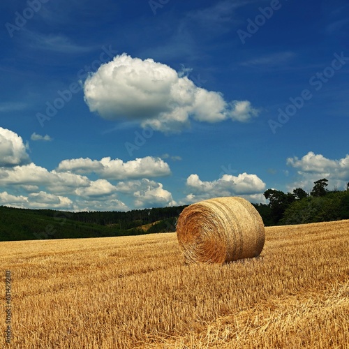 Beautiful summer landscape with haystacks - hay bales. Concept for nature  harvest time and end of summer.
