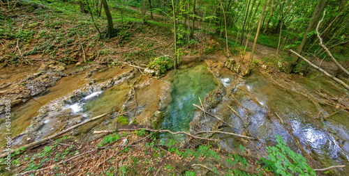 Fototapeta Naklejka Na Ścianę i Meble -  Waterfall in Eastern Serbia with tufa limestones