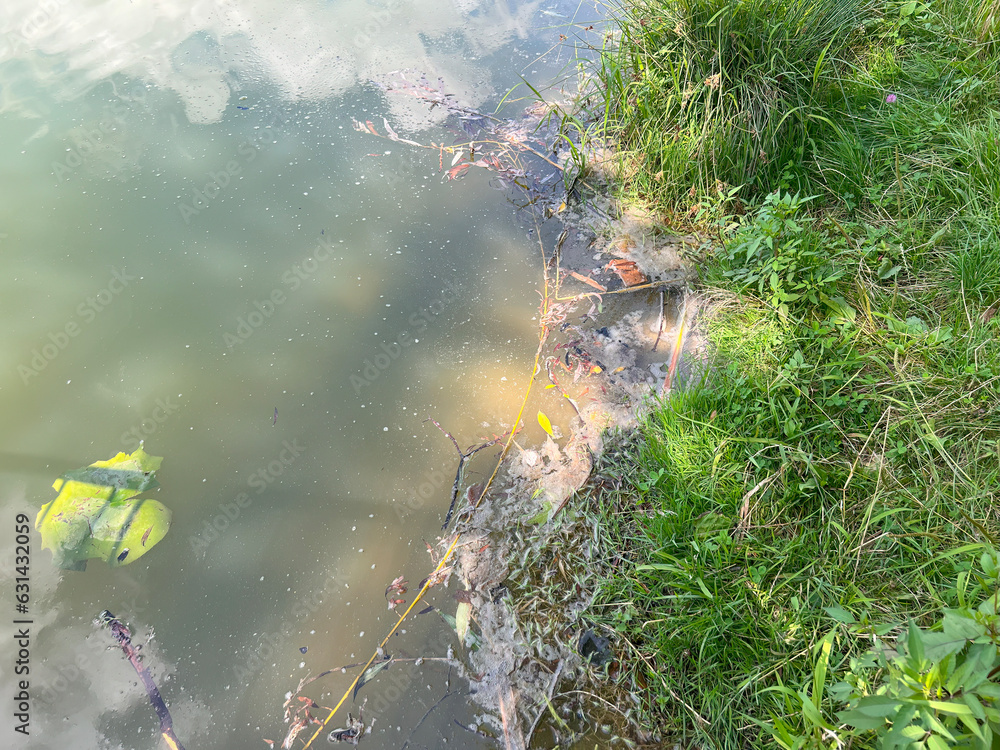 Summer Algal Blooms. Exploring Water Contamination and Environmental Impact. Global environmental pollution problem caused by chemicals and industries. Bad ecology. Polluted water Summer Algal Blooms. Exploring Water Contamination and Environmental Impact. Global environmental pollution problem caused by chemicals and industries. Bad ecology. Polluted water