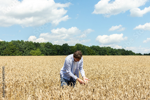 A male farmer checks the quality of the sown wheat on a sunny summer day, summer field work, a field with wheat