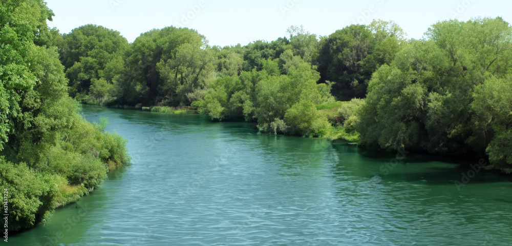 wide river Surrounded by the nature of green trees and rivers during the day