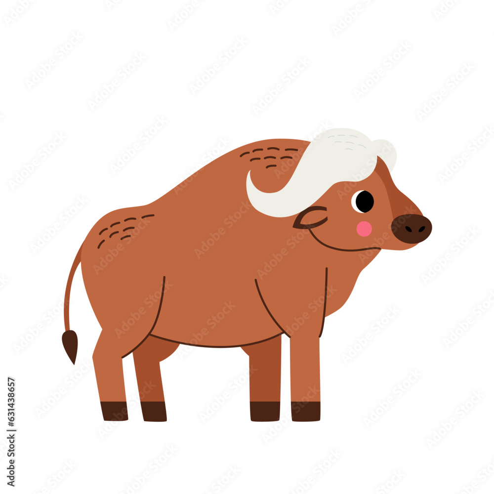 Fototapeta premium Vector picture of cute buffalo isolated on white background.