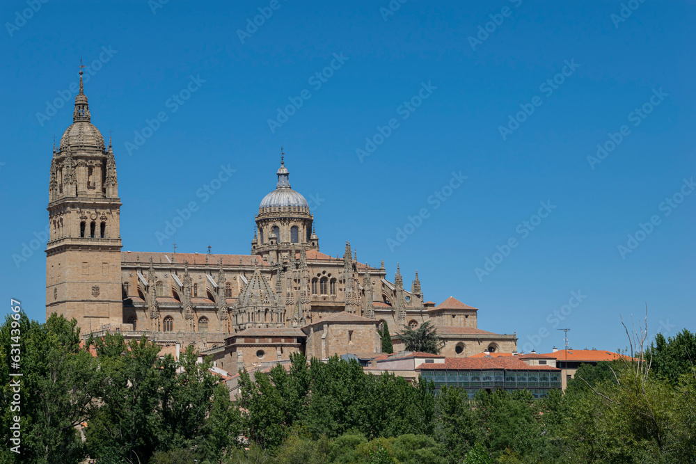 Vista de la catedral de Salamanca