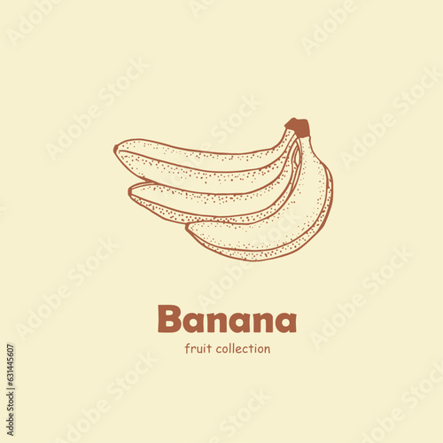 Banana , banana branch , logo , doodle ,line art, yellow fruits , bananas ,sketch, drawing, vector illustration, package logo