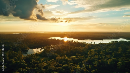 Beautiful view of the Amazon jungle at sunrise. Generative AI