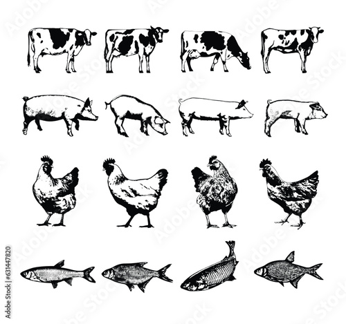 Agricultural Animals