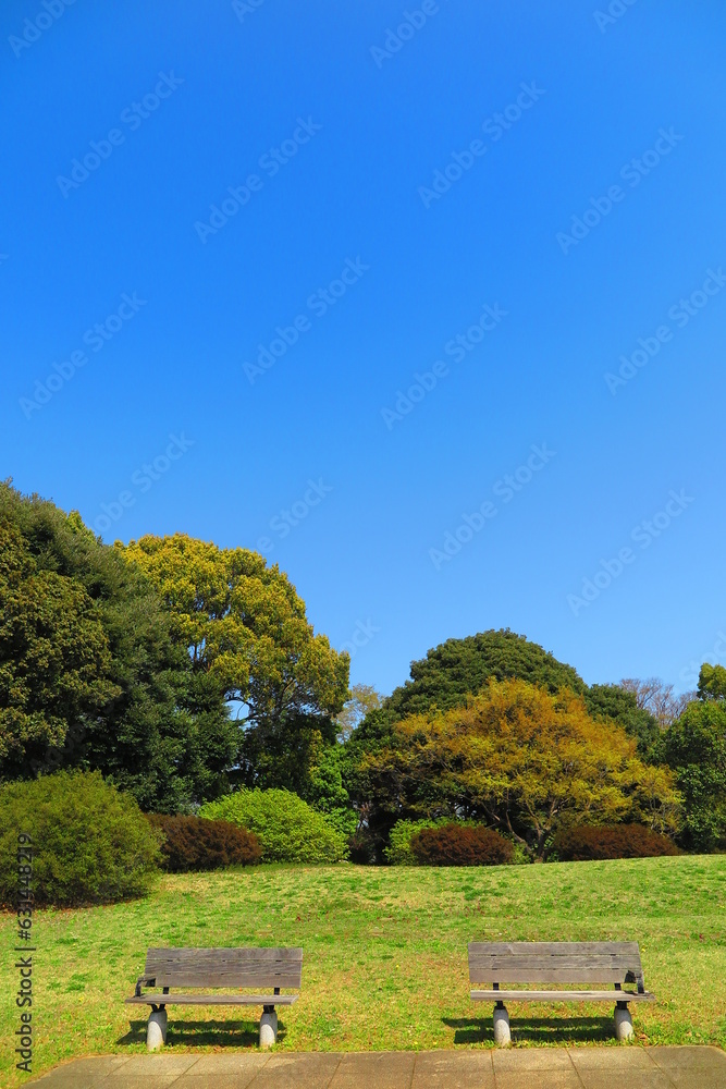 Fototapeta premium 緑生い茂る木々と二つのベンチの休憩所の風景2