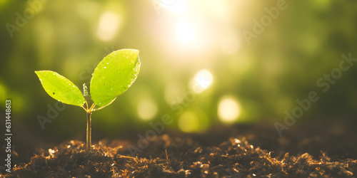 Young plant growing in sunlight, spring, selective focus, ai generated