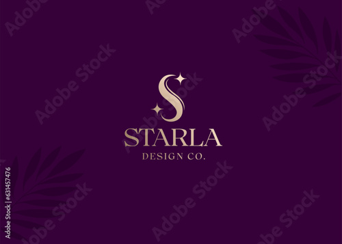 Luxury Minimalist Letter S and Star Logo design vector