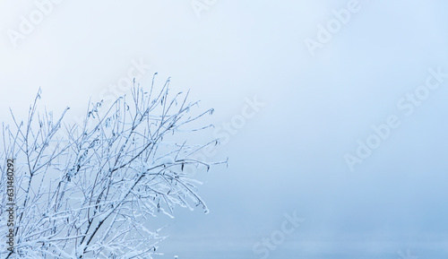 Winter picturesque landscape