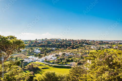 Photography Locorotondo countryside with view of scattered whitewashed cone-roofed Trulli ho