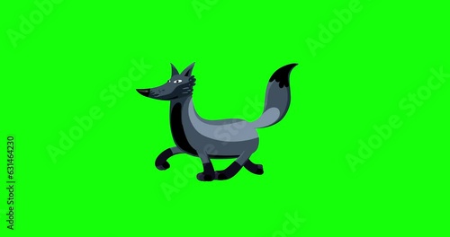 Fox silver cartoon animal character walking seamless loop greenbox. Funny animal animation useful for any project. photo