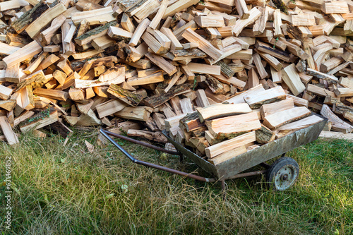 Wallpaper Mural A full wheelbarrow of firewood in front of a large pile in the village for storage. The trees were cut down and split into firewood for use in stoves. Torontodigital.ca