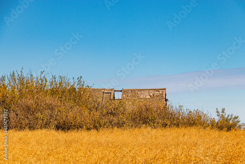 Rustic farm buildings. Starland County  Alberta  Canada