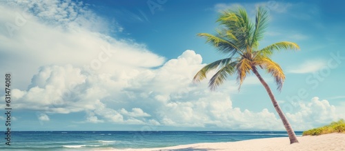 beach with a palm tree, a blue sky, and white clouds. It represents the concepts of summer vacation