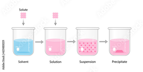 	
Solutions, suspension, precipitate. Solubility homogeneous mixture. Dissolving solids. Precipitation. Chemistry. Educational diagram, flask, isolated on white background. Vector illustration