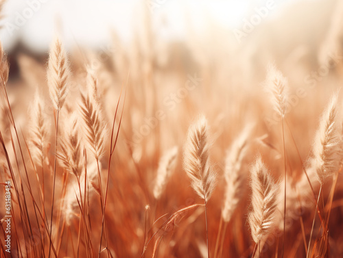 Background, wall texture, warm colors, bright leaves