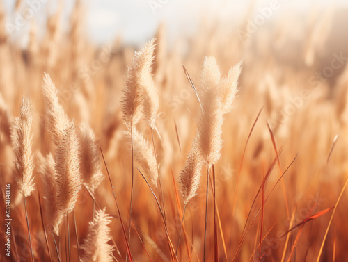 Background, wall texture, warm colors, bright leaves