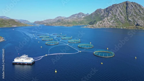 Norwegian aquaculture salmon fish farm 