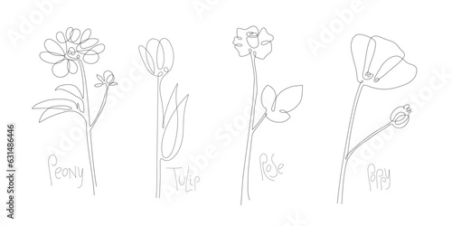 Botanical arts. Flower set. Continuous one line drawing. Peony, rose, tulip, poppy. Abstract hand drawn flower by one line. Minimalist black line sketch. Fashionable trend vector illustration