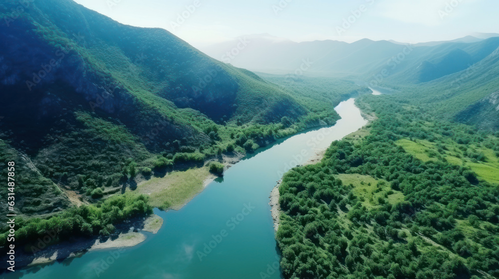 Obraz premium River in the green forest from a bird's eye view. 