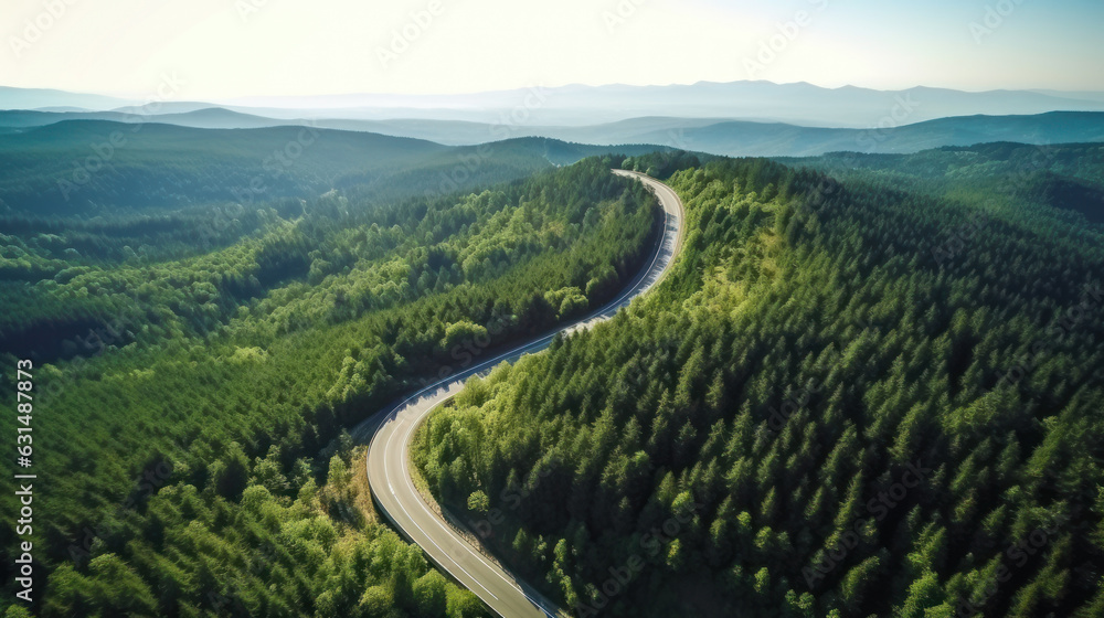 Road in the green forest from a bird's eye view.	