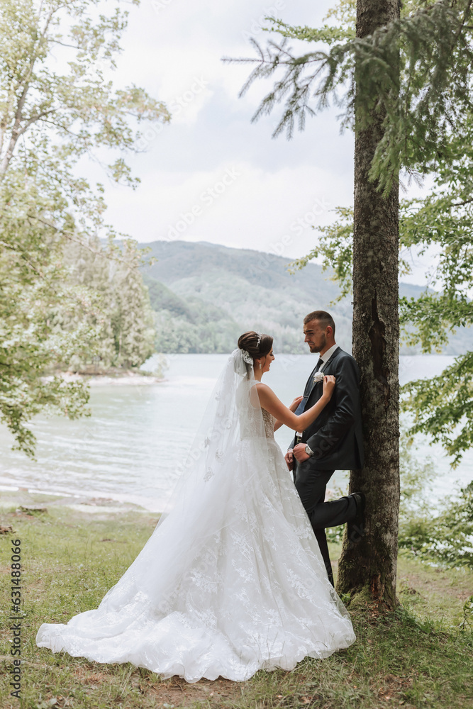 A wedding couple is enjoying the best day of their lives against the backdrop of a lake and tall trees. The groom hugs the bride. A wedding couple is enjoying the best day of their lives against the backdrop of a lake and tall trees. The groom hugs the bride.