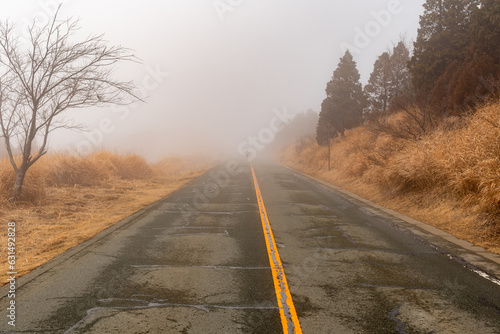 霧のかかった山道　先が見えない長い道路　冬の草が枯れた山 photo