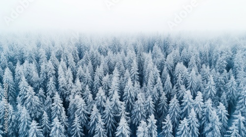 Drone photo of snow covered evergreen trees after a winter blizzard in Lithuania Generative AI © Suleyman