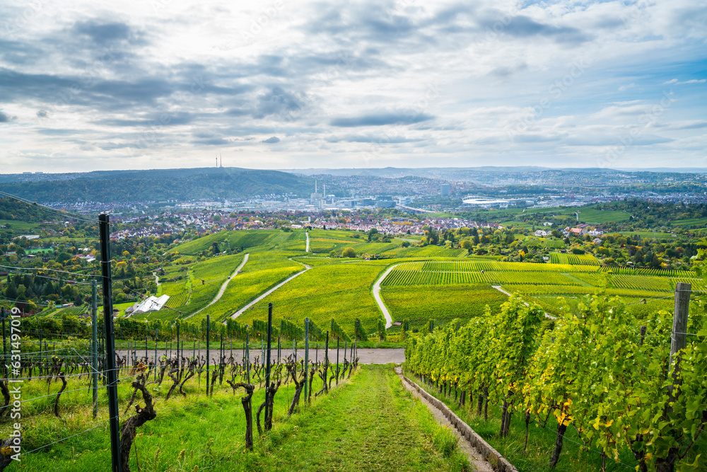 Germany, Stuttgart city skyline vineyard panorama view autumn nature landscape above roofs houses arena industry vineyard