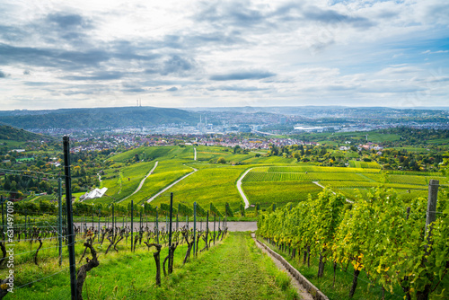 Obraz na płótnie Germany, Stuttgart city skyline vineyard panorama view autumn nature landscape above roofs houses arena industry vineyard w salonie