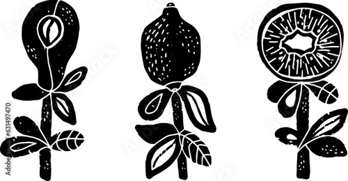 Stylized fruits on stems, avocado, lemon, kiwi. Illustration in linocut style. Vector set, elements collection