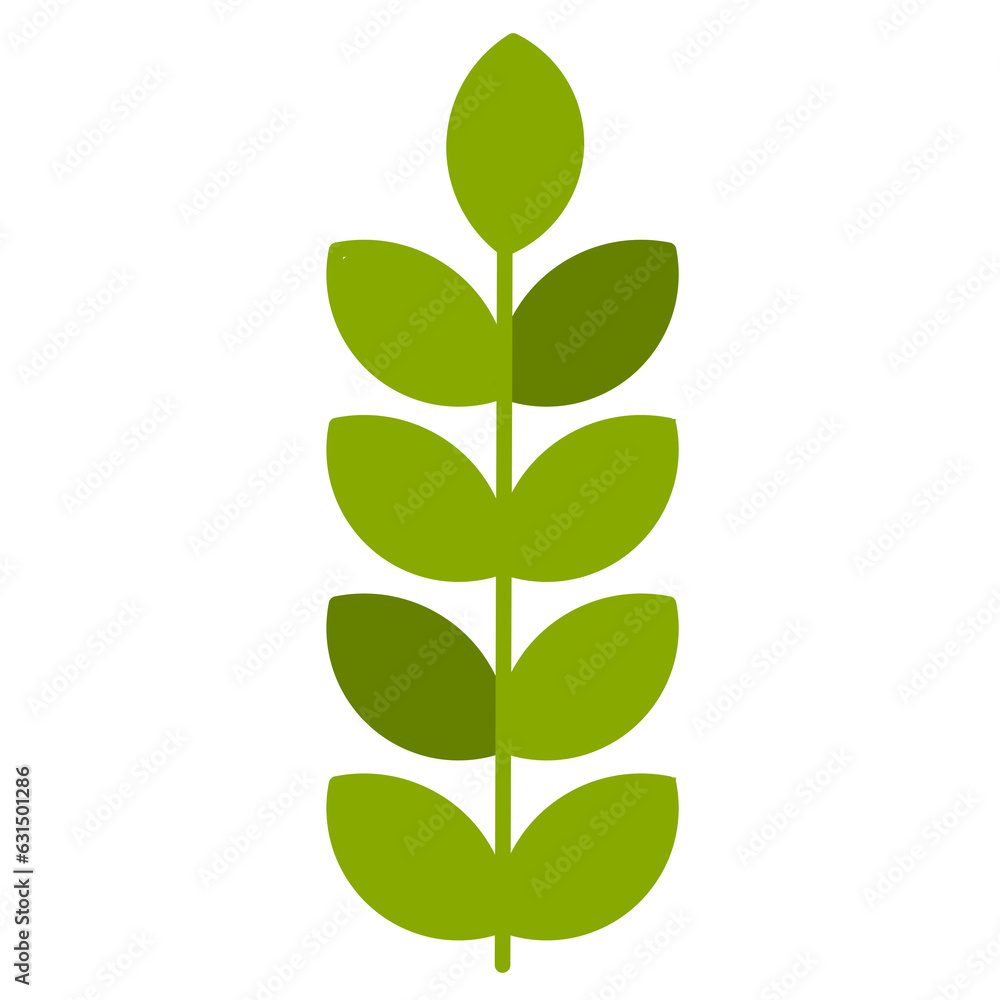 green plant isolated on white background green plant isolated on white background