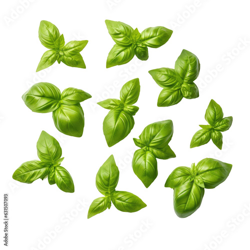 Basil leaves viewed from above, placed on white surface.
