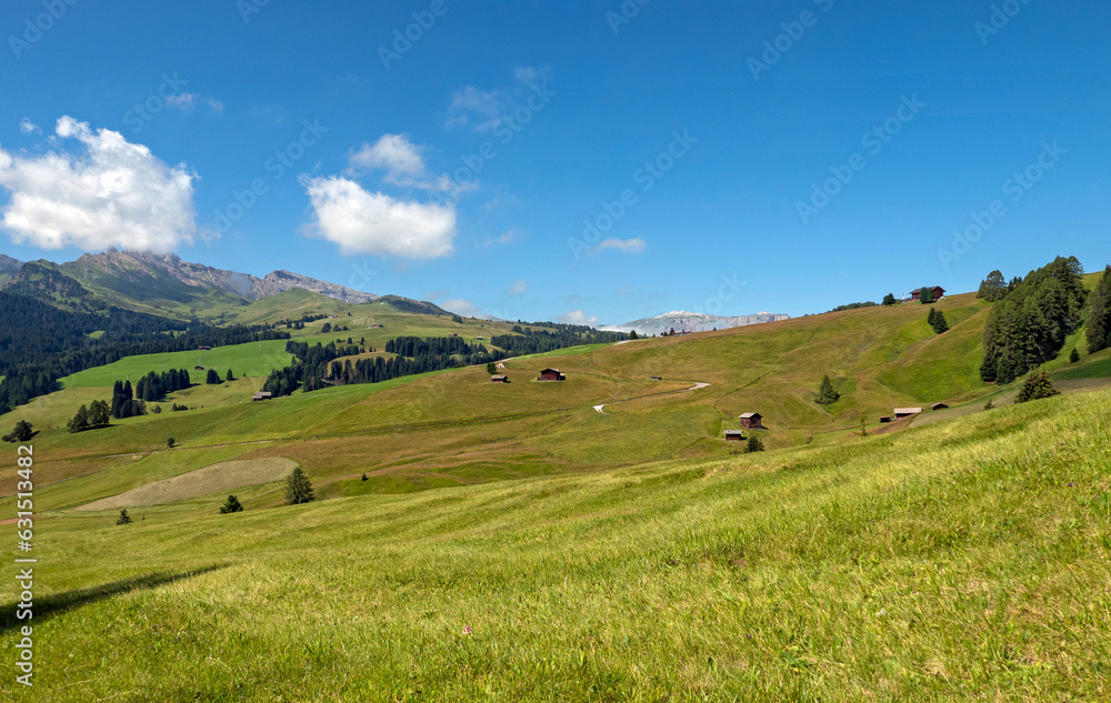 bucolic and relaxing image of the beautiful nature of the Dolomites in summer bucolic and relaxing image of the beautiful nature of the Dolomites in summer