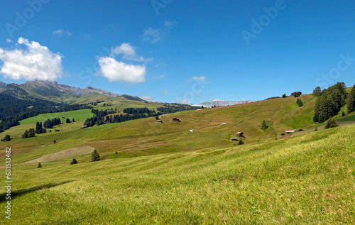 bucolic and relaxing image of the beautiful nature of the Dolomites in summer
