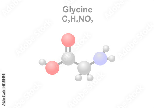 Glycine. Simplified scheme of the molecule. Precursor to proteins.