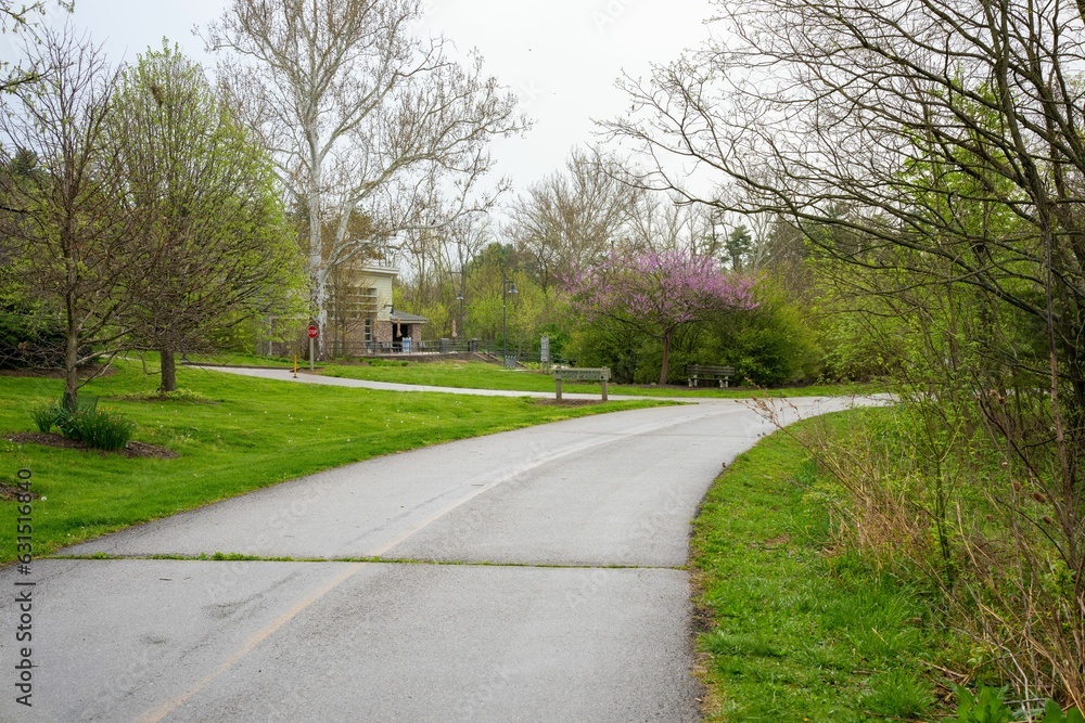 Tranquil road after rain during the spring season.