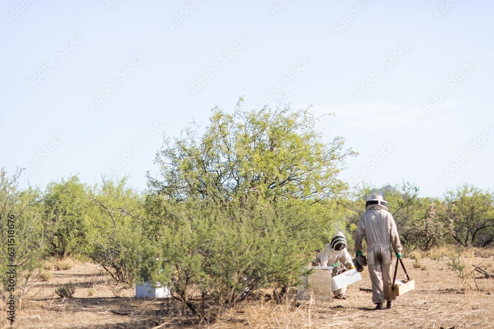 Obraz premium Beekeepers working on hive boxes on a sunny day
